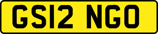 GS12NGO