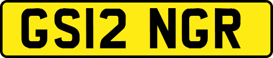 GS12NGR