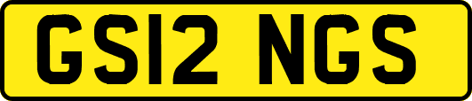 GS12NGS