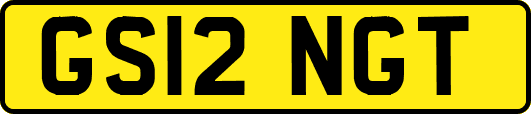 GS12NGT