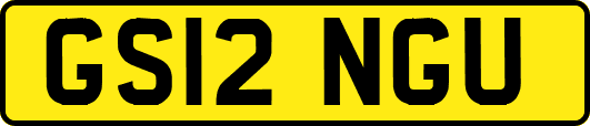 GS12NGU