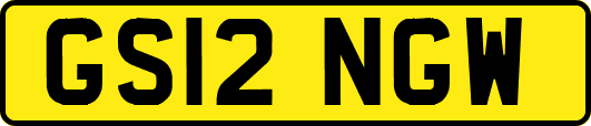GS12NGW