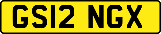 GS12NGX