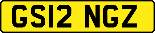 GS12NGZ