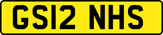 GS12NHS