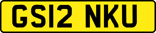 GS12NKU