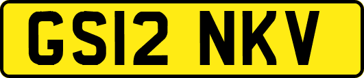 GS12NKV