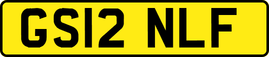 GS12NLF