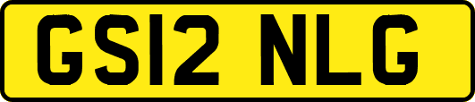 GS12NLG
