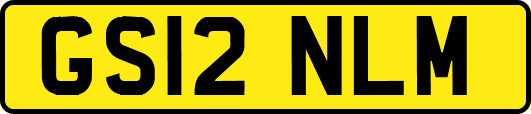 GS12NLM