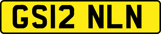 GS12NLN