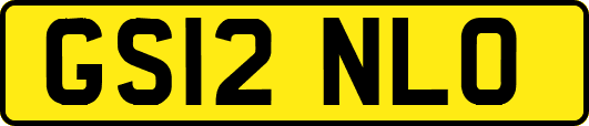 GS12NLO