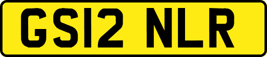GS12NLR