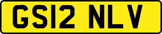 GS12NLV