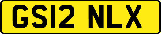 GS12NLX