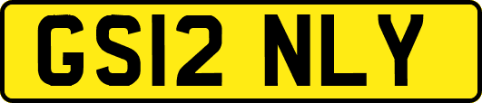 GS12NLY