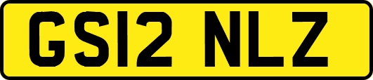 GS12NLZ