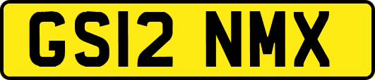 GS12NMX