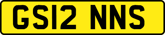 GS12NNS