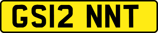 GS12NNT