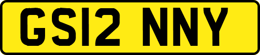 GS12NNY