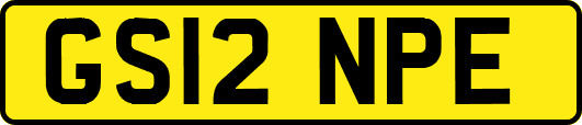 GS12NPE