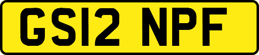 GS12NPF