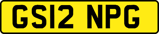 GS12NPG