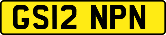 GS12NPN