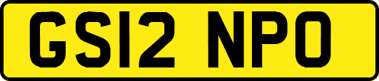 GS12NPO