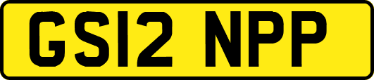 GS12NPP