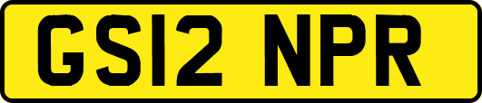 GS12NPR