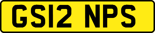 GS12NPS