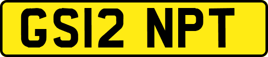 GS12NPT