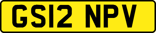 GS12NPV
