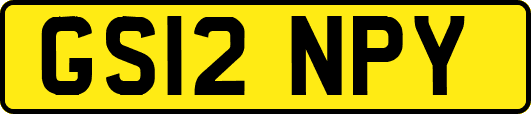 GS12NPY