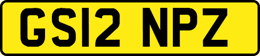 GS12NPZ