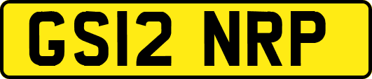 GS12NRP