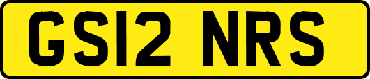 GS12NRS