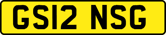 GS12NSG