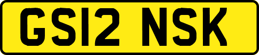 GS12NSK