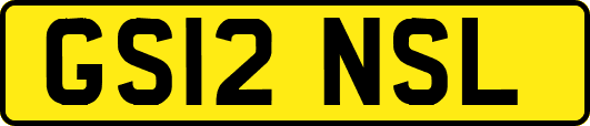 GS12NSL