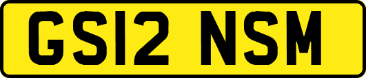 GS12NSM