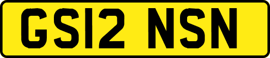 GS12NSN