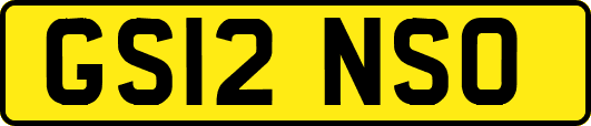 GS12NSO