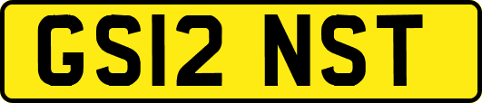 GS12NST