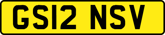 GS12NSV