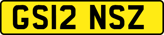 GS12NSZ