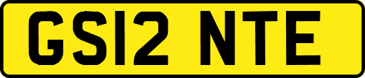 GS12NTE