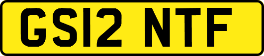GS12NTF